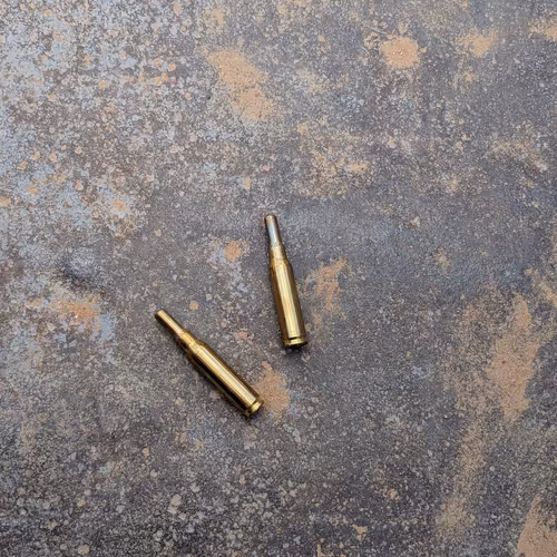 bullets