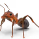 387