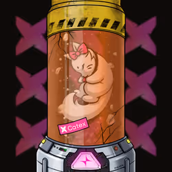 716