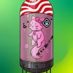263