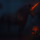 Original Dark Unicorn