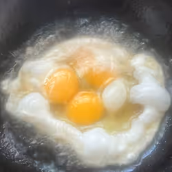 BroTein