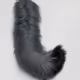 tail