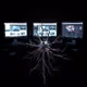 Neurounimonitor