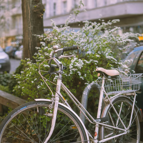 Bicycle