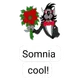 gift of somnia