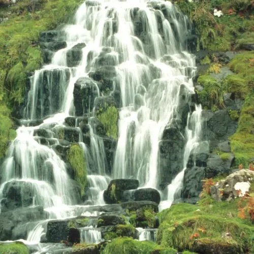 The Source, Scotland