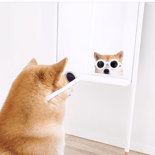 doge