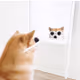 doge