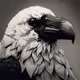 White Raven