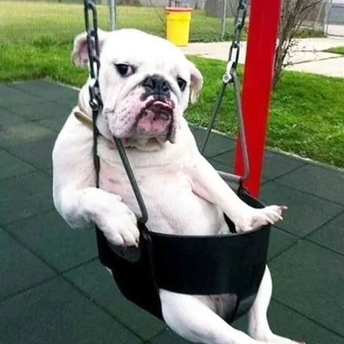 chill