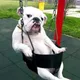 chill