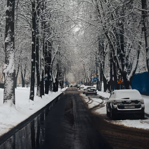 Winter