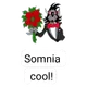 gift of somnia