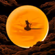 UNI Dragonballs