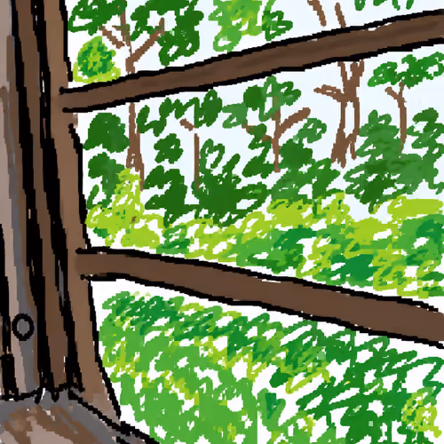 Train Window