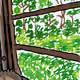 Train Window