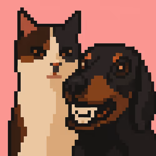 Cat and Dog