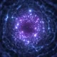 The Rewired Mind