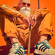 Master Roshi