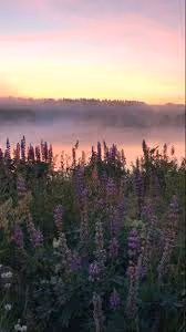 The Blockhead Brigade