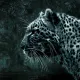 gepard