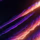 Quantum Garden