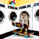 EliteE5-