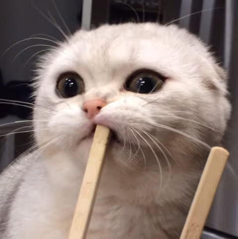 supercatm00n