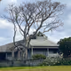 Tree&House