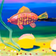 Good luck fish