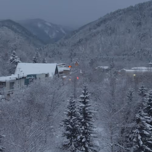winter