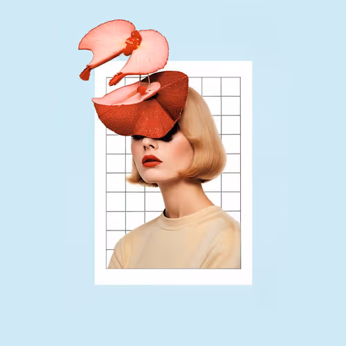 The fashion and the collages