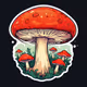 Fly-agaric-mushroom