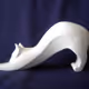 flat cat