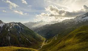 ALP
