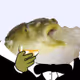 Memetic