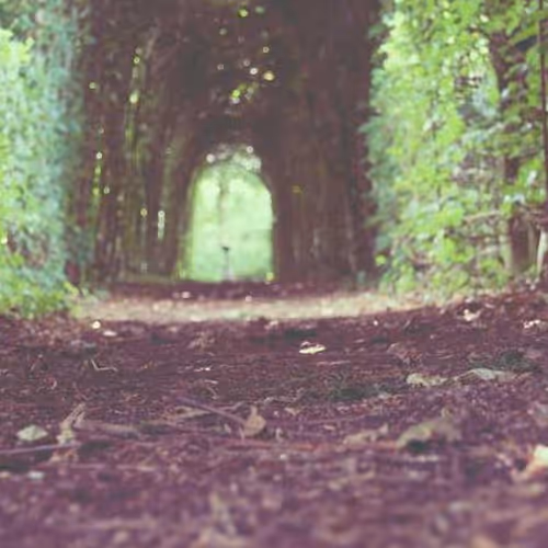 Ill Gate