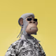 CourageMonkey