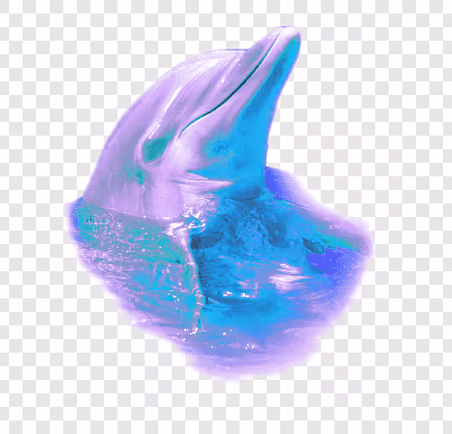 Dolphin