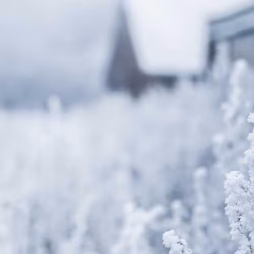 Phantom Username Japan