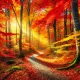 Autumn Bliss