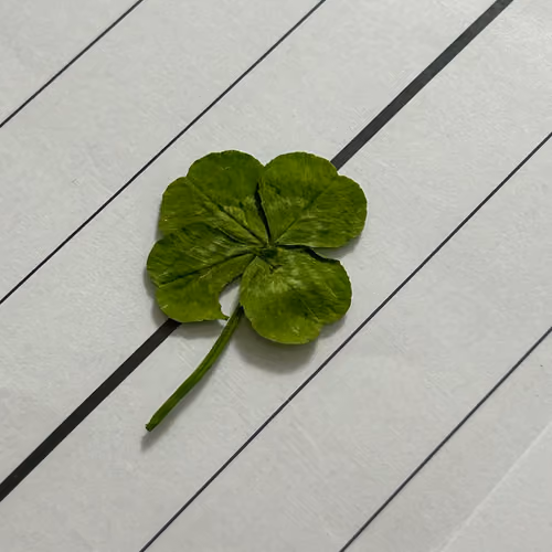 Lucky