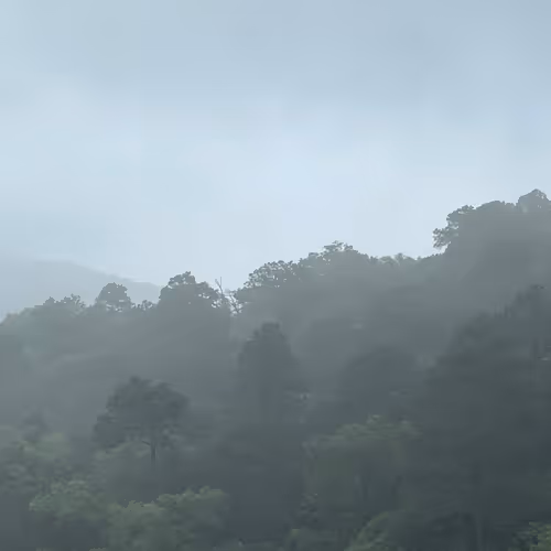 Slices of Life - Vol 3