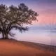Waking World