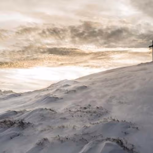 Arrives Mechanical Motorcycle