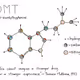 dmt