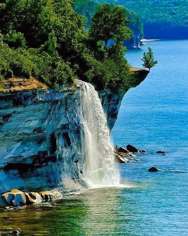красота