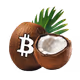 Cocos Coins