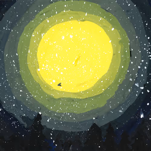 NIGHT IN THE FOREST